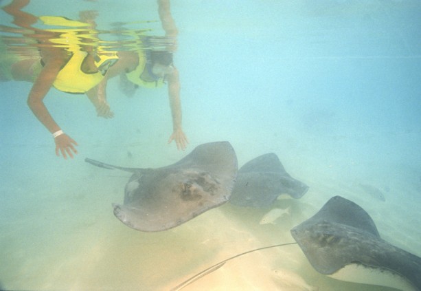 Diving on Disney Cruise Line's Castaway Cay