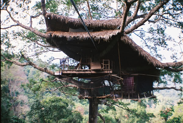 10. The Gibbon Experience Treehouse, Bokeo Reserve, Laos