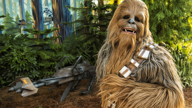 star-wars-weekends-gallery-07