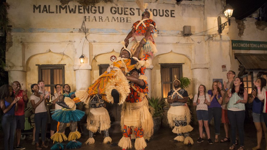 Harambe Wildlife Parti at Disney's ANimal Kingdom at Night