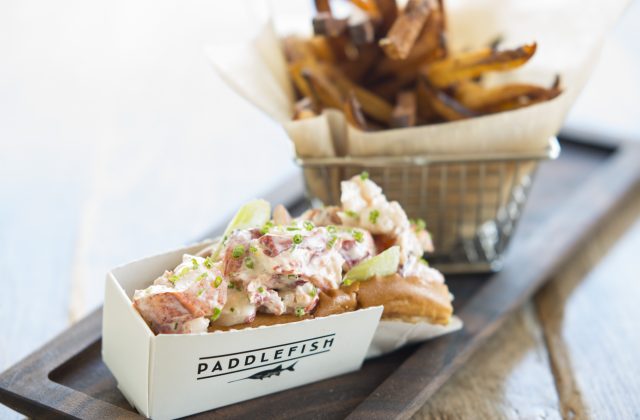 Levy Restaurants is excited to announce the grand opening of Paddlefish, its newest dining experience at Disney Springs, on Saturday, February 4. 