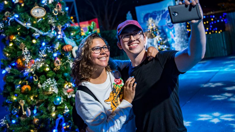 Disney Springs Christmas Tree Trail Debuts Extended Weekend and Holiday Hours